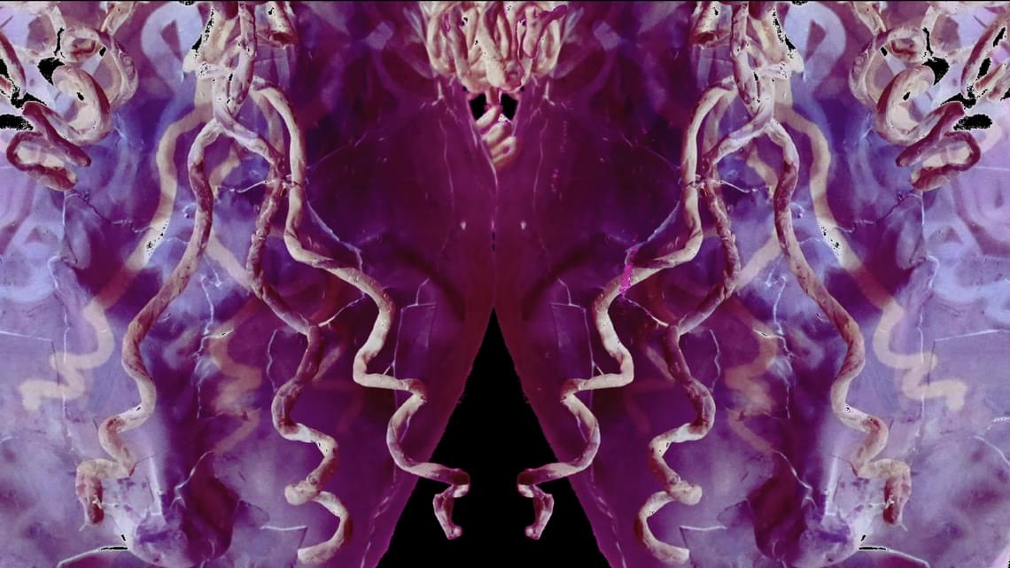 Mothy Muyobo, Crown (2022), video still