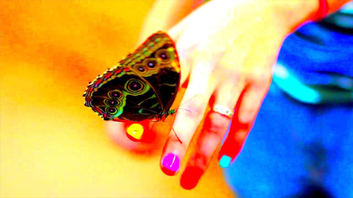 'Pervading Animal' Courtesy of Graeme Arnfield