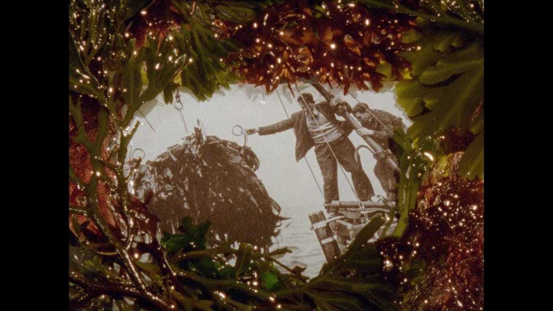 Seaweed, directed by Julia Parks